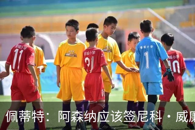 佩蒂特：阿森纳应该签尼科·威廉姆斯，他带球出色能带来巨大提升
