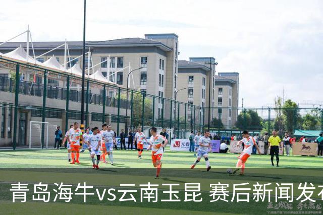 青岛海牛vs云南玉昆 赛后新闻发布会